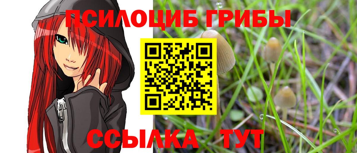 Малоярославец  купить наркоту  Вход с VPN  Псилоцибиновые грибы MAGIC MUSHROOMS  Псилоцибиновые грибы MAGIC MUSHROOMS 
